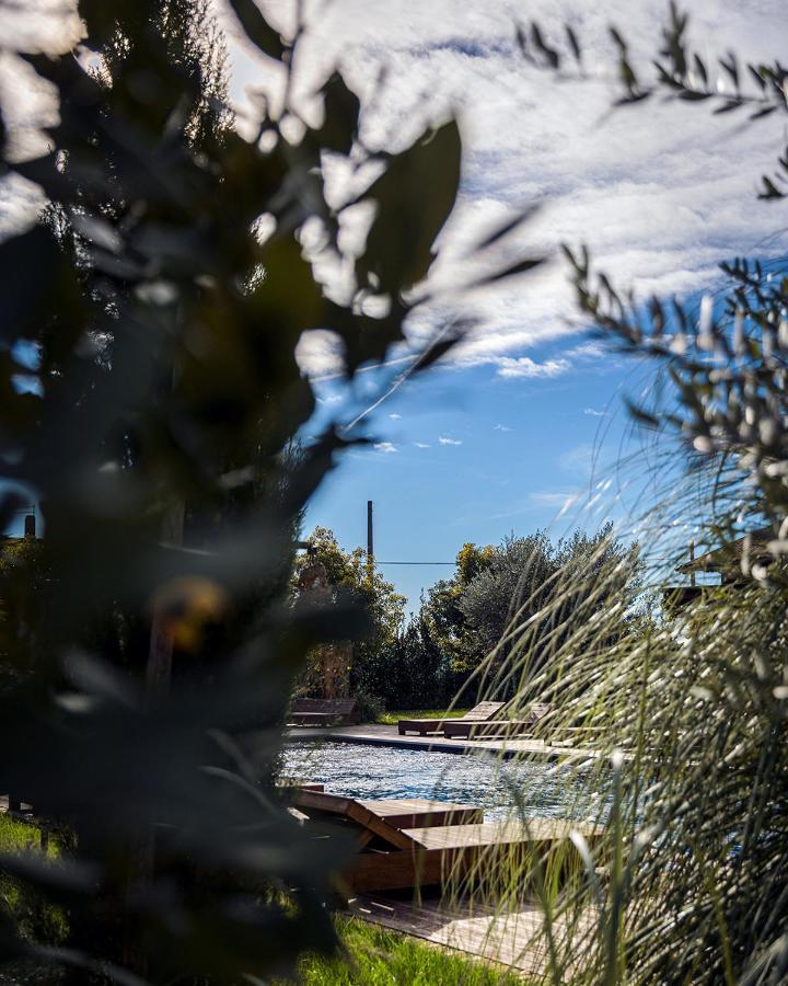 Santa Lucia Maccarese - Residenza Agricola Villa ภายนอก รูปภาพ